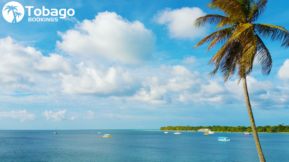 What's the best time to book hotels in Tobago?